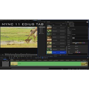 EDIUS 11 Pro Box