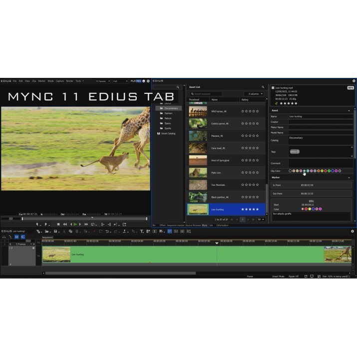 EDIUS 11 Pro
