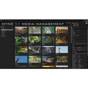 EDIUS 11 Pro Box