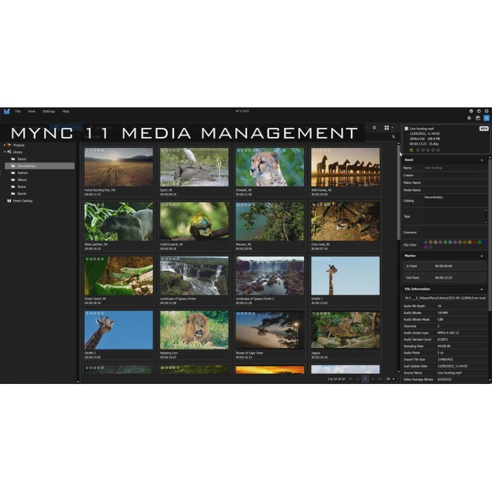 EDIUS 11 Pro