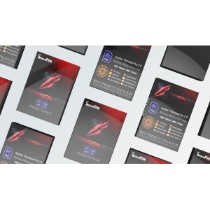 Premiere Pro Wedding Package